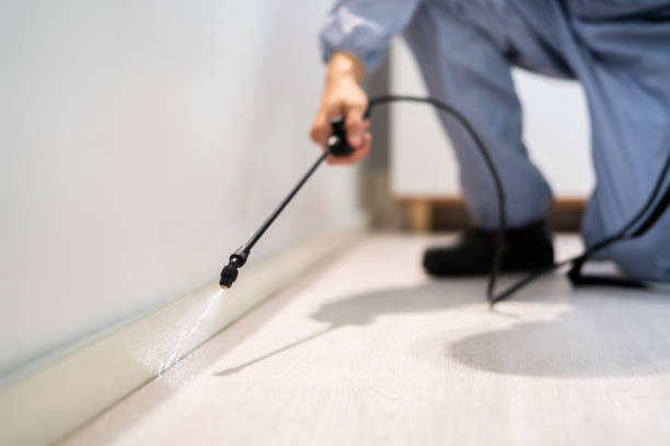 Licensed Mosquito Control service in Struthers, OH - Show Me Pest Control