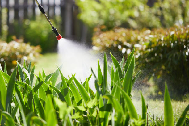 24/7 Emergency Mosquito Control experts in Struthers, OH